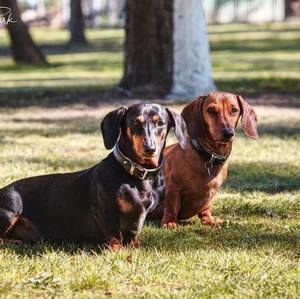 Meet your Posher, Jane